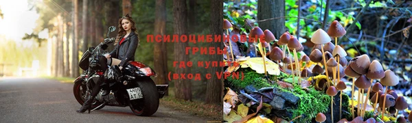 тгк Абинск